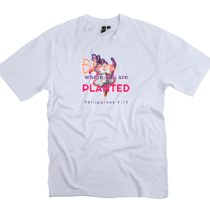 Philippians 4:12 T-shirt design